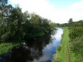 /album/my-local-birding-gallery/the-canal-at-mill-bank-thornhill-jpg/